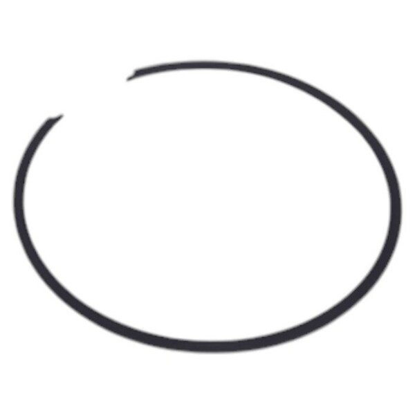 Agco RING, AGCO OEM 1754409M1 1754409M1 - main