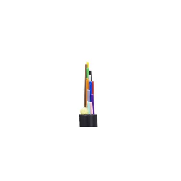 Swe-Tech 3C Singlemode, Corning, Black, Riser FWT10F3-012NH - main