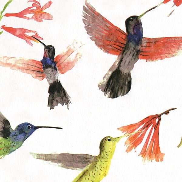 Nashville Wraps Hummingbirds Tissue Paper, 20x30, 240PK P1192 - main