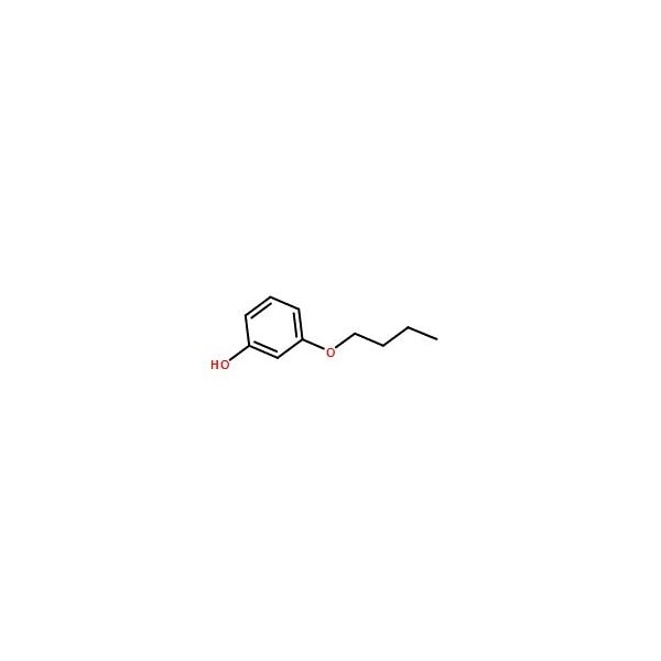 Ak Scientific 3-Butoxyphenol (1g), CAS 18979-72-1 6011AL-1g - main