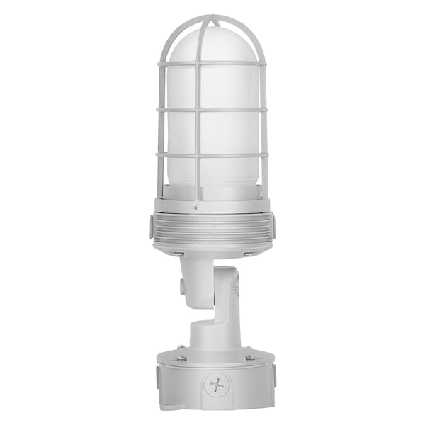 Ledvance/ Sylvania Floodlights, RoHS JELYJAR2AFROSTEDLENS Frosted lenses - main