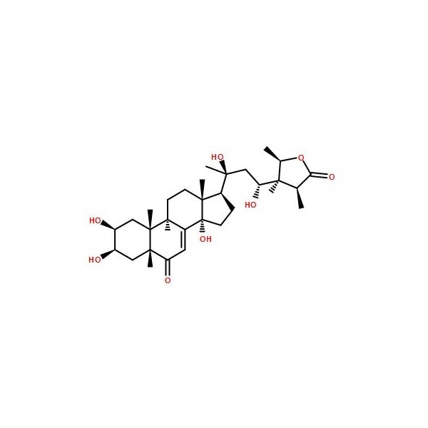 Ak Scientific Cyasterone (25mg), CAS 17086-76-9 Y0062-25mg - main