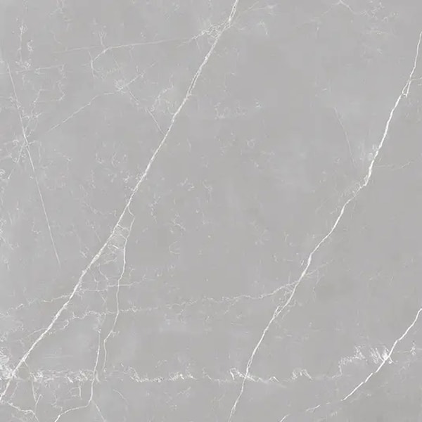 Apollo Tile Regalia 24x24 in. Ash Gray Matte Color Body Porcelain Marble-look Vein Large Tile, 4PK APLVEL88CEN2424 - main