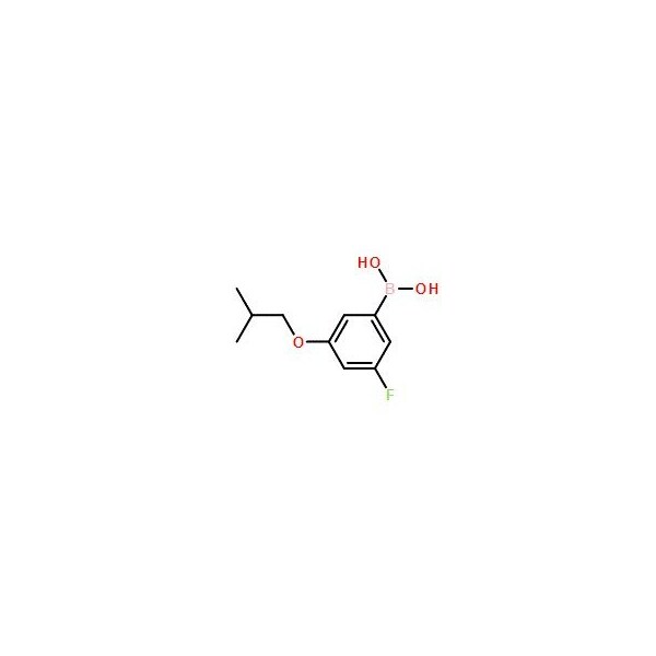 Ak Scientific 3-Fluoro-5-isobutoxyphenylboronic acid (10g), CAS 850589-57-0 V1865-10g - main