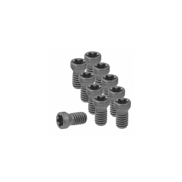 Garant Set of Insert Screws, 10 Pieces, Type: 2 219799 2 - main