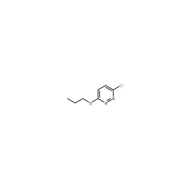 Ak Scientific 3-Chloro-6-Propyloxypyridazine (1g), CAS 5788-60-3 X3921-1g - main