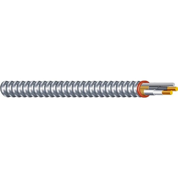 Southwire Cable Armored Steel 12/3 25Ft 55275021 - main