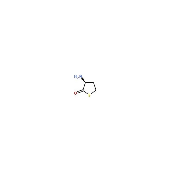 Ak Scientific L-Homocysteine thiolactone hydrochloride (5g), CAS 31828-68-9 S502-5g - main