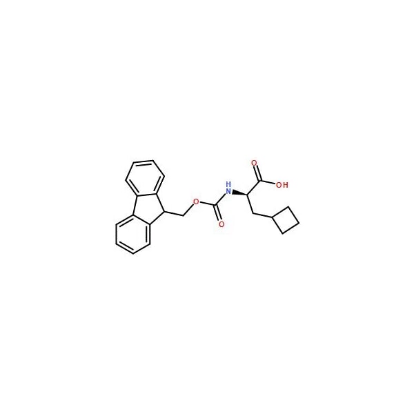 Ak Scientific Fmoc-D-β-Cyclobutyl-Ala-OH (25g), CAS 478183-63-0 6803AH-25g - main