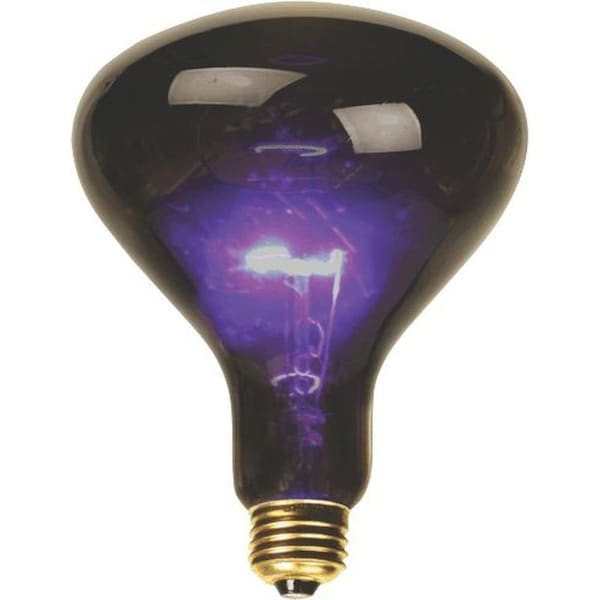Deejay Led Mushroom Shaped Purple incandescent Light for Standard US Lamp Socket 100 Watts BL100 - main