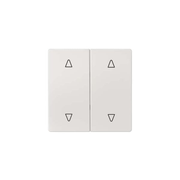 Siemens DELTA style, platinum metallic Rocker switch with shutter symbols 5TG7147-1 - main