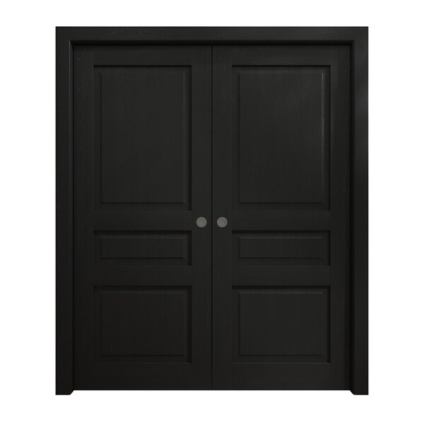 Sartodoors Sliding French Double Pocket Doors 84 x 96 inches, Ego 5012 Painted Black Oak, Kit Rail Hardware , EGO5012DP-CHK-8496 - main