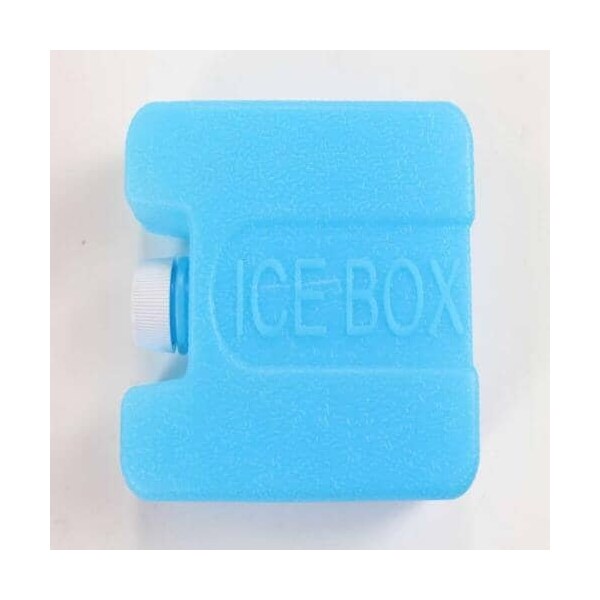 Delonghi ICE BOX NI1017 - main