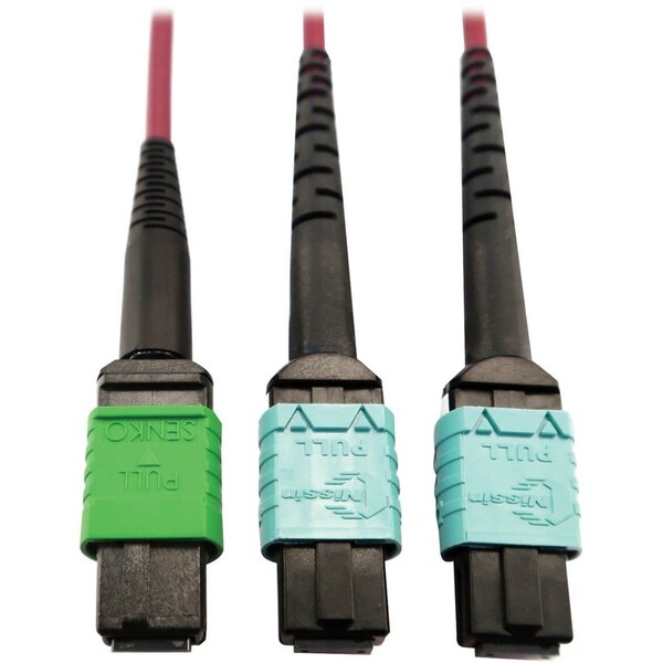Eaton Tripp Lite Series 400G Multimode 50/125 OM4 Plenum Fiber Optic Cable, 16F MTP/MPO-APC to x2 12F N846D-01M-16DMG - main