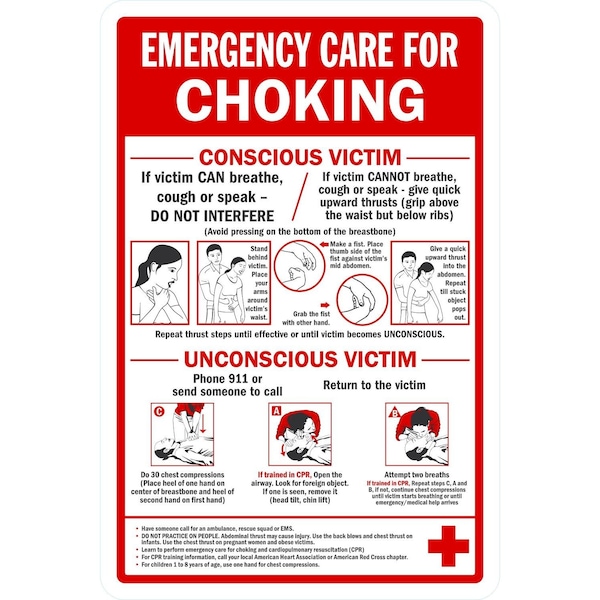 Lyle Emergency Care For Choking, Conscious Victim/ Unconsci, 12x18, Non-Reflective, White G-4809-NA_12x18 - main
