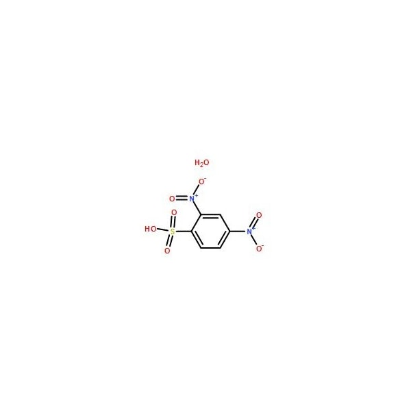 Ak Scientific 2, 4-Dinitrobenzenesulfonic acid hydrate (5g), CAS 698999-22-3 7610AF-5g - main