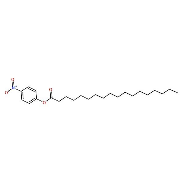 Ak Scientific 4-Nitrophenyl stearate (1g), CAS 14617-86-8 7239AA-1g - main