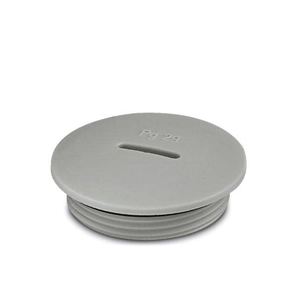 Phoenix Contact A-INSP-PG29-65N-P-LG Screw plug 1424525 - main