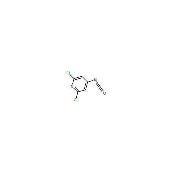 Ak Scientific 2, 6-Dichloro-4-isocyanatopyridine (1g), CAS 159178-03-7 5046AD-1g - main