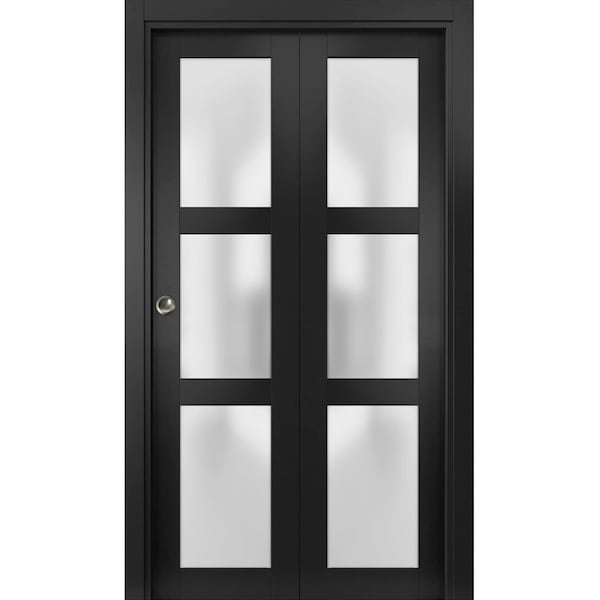 Sartodoors Sliding Closet Bi-fold Doors, Lucia 2552 Matte Black with Frosted Glass, Sturdy Tracks Moldings Tr LUCIA2552BF-BLK-36 x 96 (2* 18x96) - main