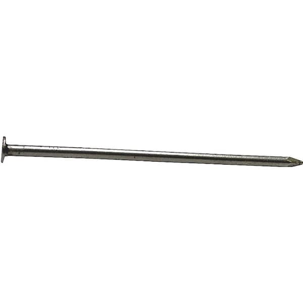 Orgill Bulk Nails Common Nail, 3-1/4 in L, 12D, Hot Dipped Galvanized Finish 54182 - main