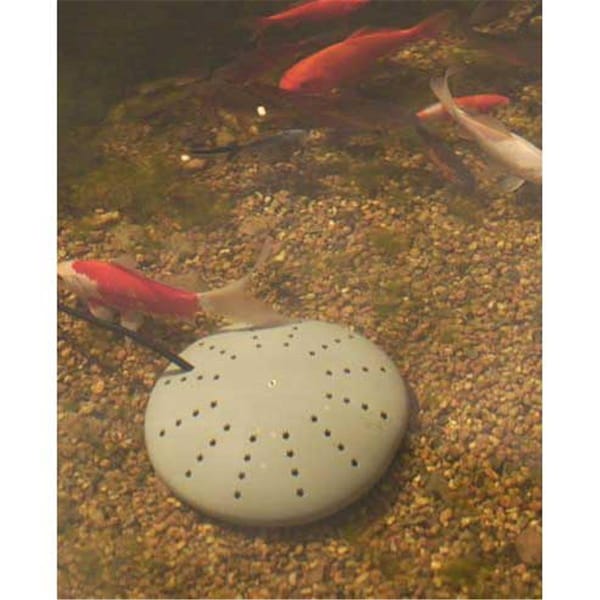 Reincarnation Perfect Climate Submersible Pond De-Icer 300 Watt 7.75 in. x 7.5 in. x 4.5 in. RE1675537 - main