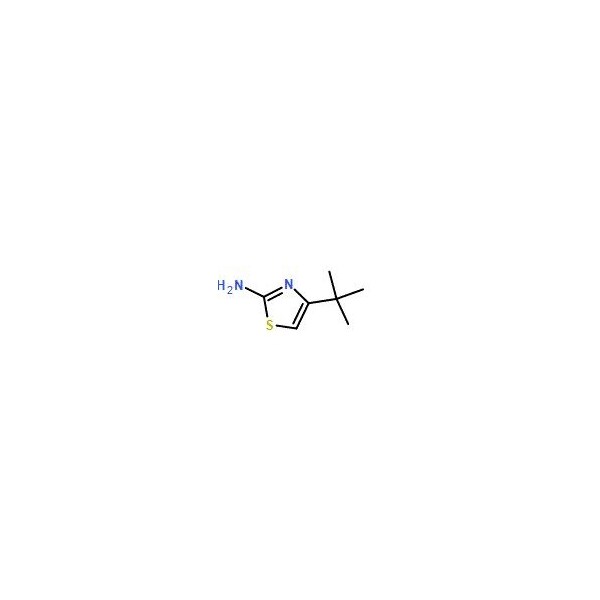 Ak Scientific 2-Amino-4-tert-butylthiazole (5g), CAS 74370-93-7 V7575-5g - main