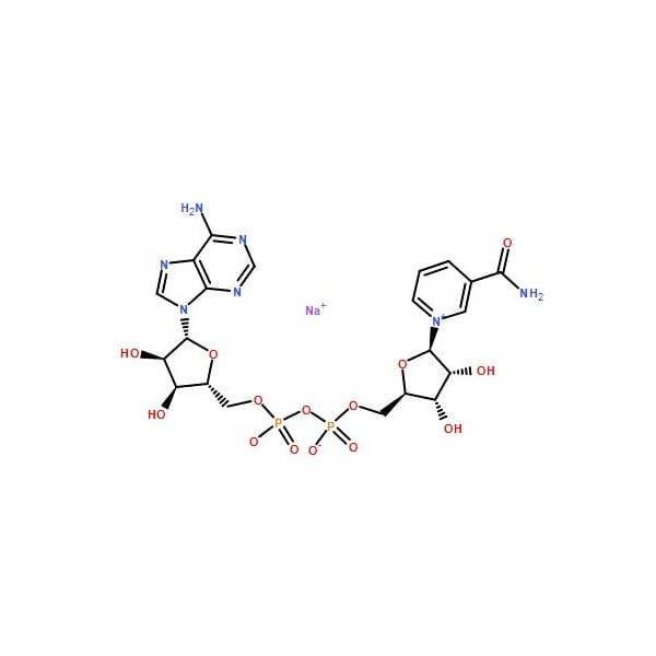 Ak Scientific beta-Nicotinamide adenine dinucleotide sodium (1g), CAS 20111-18-6 X3711-1g - main