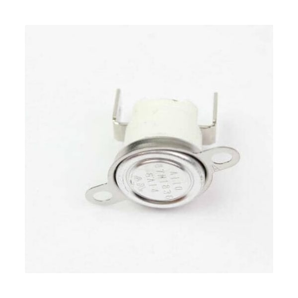 Blomberg BODY THERMOSTAT 263900059 - main