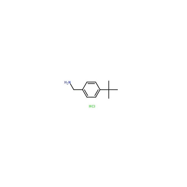 Ak Scientific (4-tert-Butylphenyl)methanamine hydrochloride (5g), CAS 59528-30-2 4310AH-5g - main