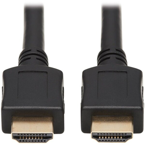 Tripp Lite Display Cable P569-020-CL2 - main