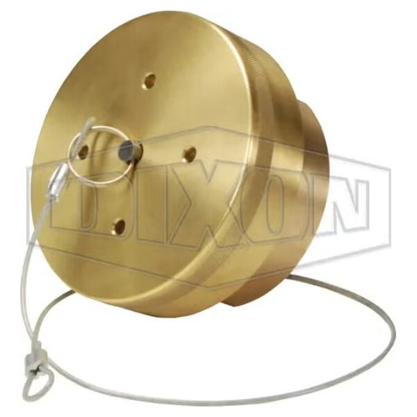 Dixon LNG30 FIXED END WITH 3 in FEMALE NPT/ CAP LNG30BRFE - main