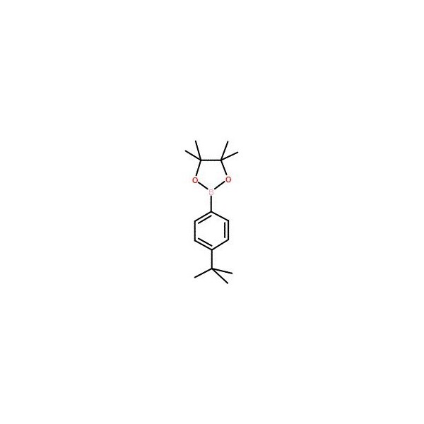 Ak Scientific 4-t-Butylphenylboronic acid pinacol ester (100g), CAS 214360-66-4 X0617-100g - main