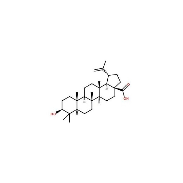 Ak Scientific Betulinic acid (1g), CAS 472-15-1 2267AH-1g - main