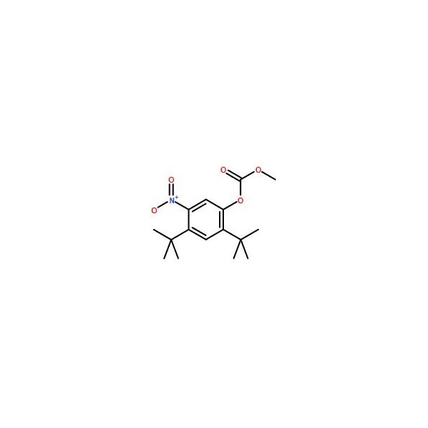 Ak Scientific 2, 4-Di-tert-butyl-5-nitrophenyl methyl carbonate (1g), CAS 873055-55-1 Y3189-1g - main