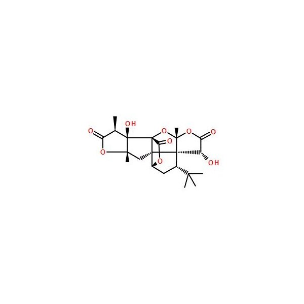 Ak Scientific Ginkgolide A (100mg), CAS 15291-75-5 V0723-100mg - main