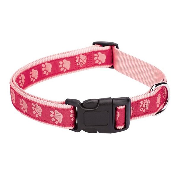 Casual Canine Dog Collar, 10 to 16 in L Collar, 5/8 in W Collar, Nylon, Pink, Two Tone Paw Print ZA8871 10 75 - main