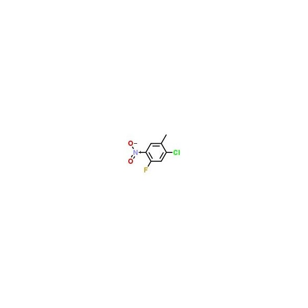 Ak Scientific 2-Chloro-4-fluoro-5-nitrotoluene (25g), CAS 112108-73-3 B956-25g - main