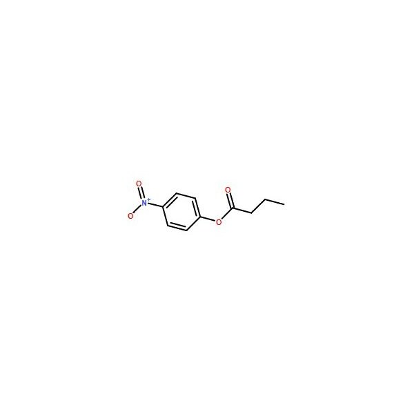Ak Scientific 4-Nitrophenyl butyrate (25g), CAS 2635-84-9 X6655-25g - main