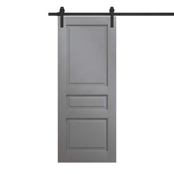 Sartodoors Modern Barn Door 24 x 80 inches, Ego 5012 Painted Grey Oak, 6.6FT Rail Track Heavy Hardware Set, EGO5012BD-B-SEK-24 - main