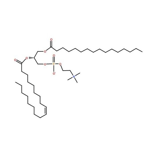 Ak Scientific 1-Palmitoyl-2-oleoyl-sn-glycero-3-phosphocholine (1g), CAS 26853-31-6 4732AH-1g - main