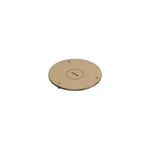 Steel City Brass Floor Box Cover Plate for Duplex Lift Lid P 60 1/2 - main