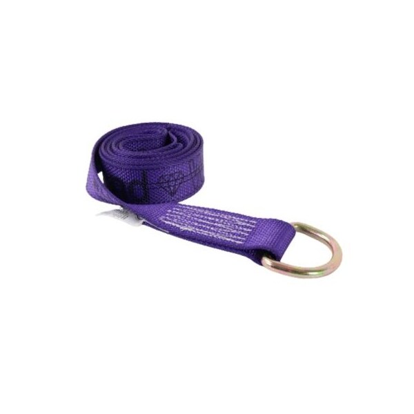 Safe N Secure safensecure/2x8/DiamondWeaveLassoStrapw/DringBest TOW-100WDR-DW - main