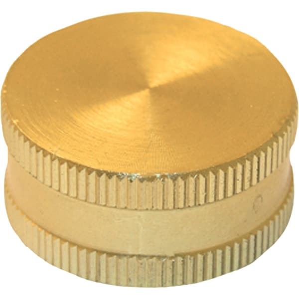 Westlake Pipe & Fittings 3/4'' FHT Brass Hose Cap 15-1763 - main