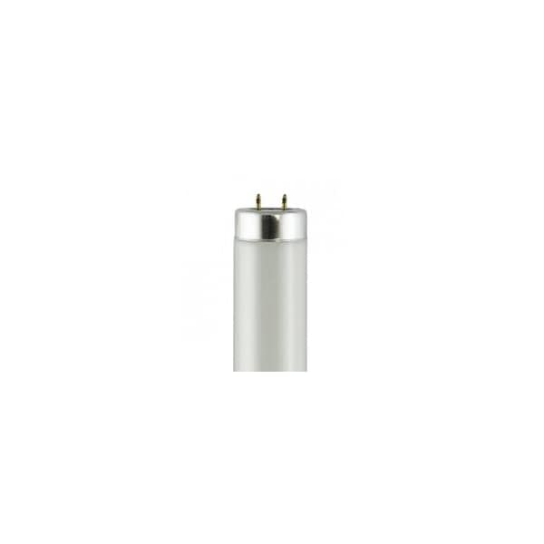 Ge Fluorescent Bulbs, 6PK F20T12/BL - main
