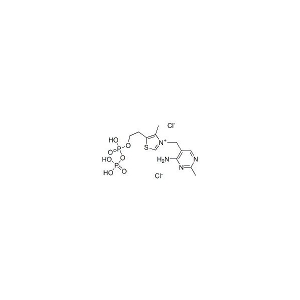 Ak Scientific Thiamine pyrophosphate chloride (25g), CAS 154-87-0 M204-25g - main