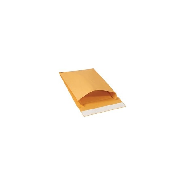 Bubblefast 250-12 x 15 x 3'' Kraft Expandable Self-Seal Envelopes, 250PK BFEN1075 - main