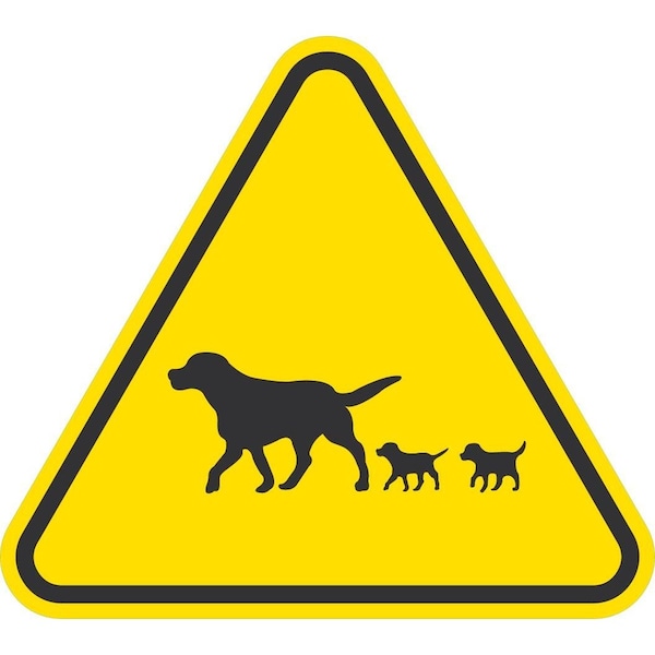Lyle Dog and Puppy Crossing Symbol, 6x6, Non-Reflective, Yellow G-16958-ND_6x6 - main