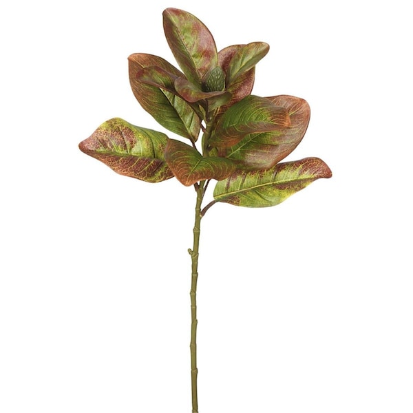 Dare2Decor Single Magnolia Leaves-Autumn Greenery Stem, 3PK DA579386 - main
