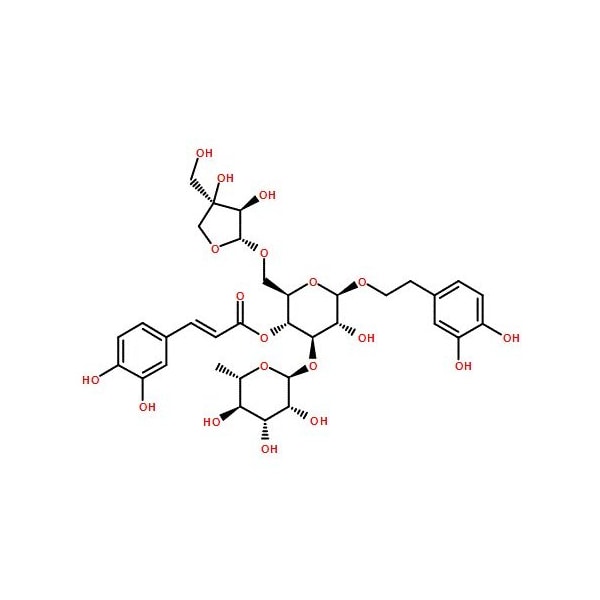Ak Scientific Forsythoside B (100mg), CAS 81525-13-5 Y0083-100mg - main